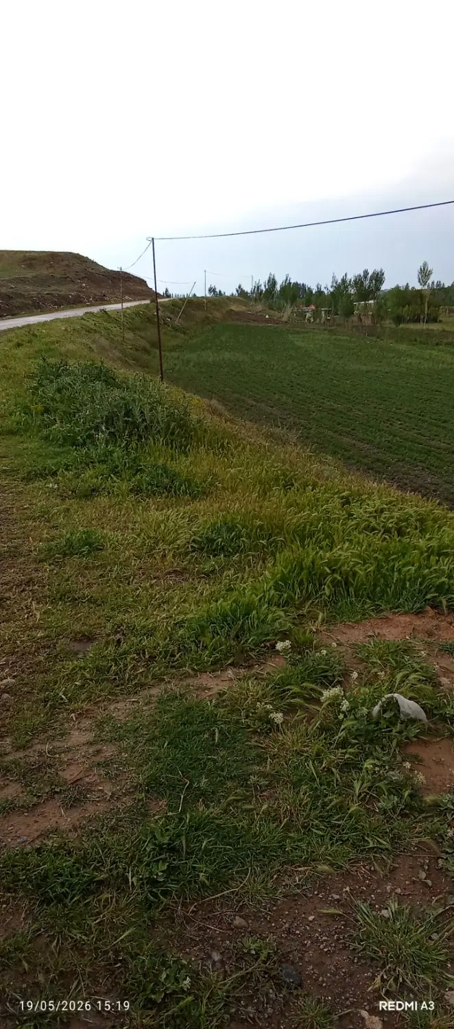 زمین متناسب برای هرکاری