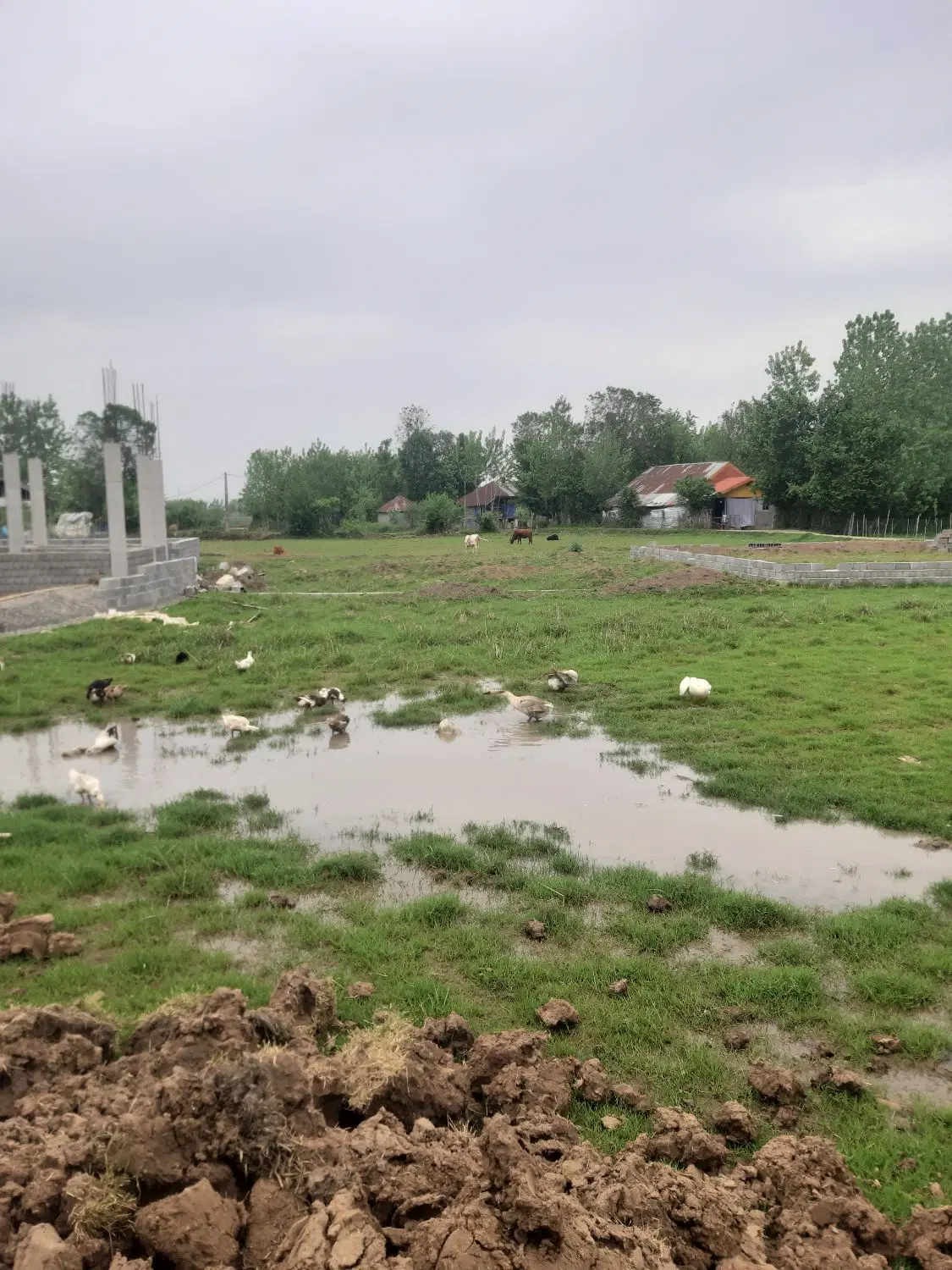 زمین مسکونی با جواز ساخت دو طبقه