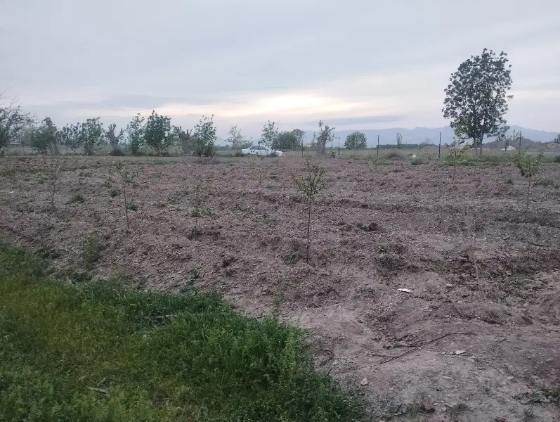 گلمکان
