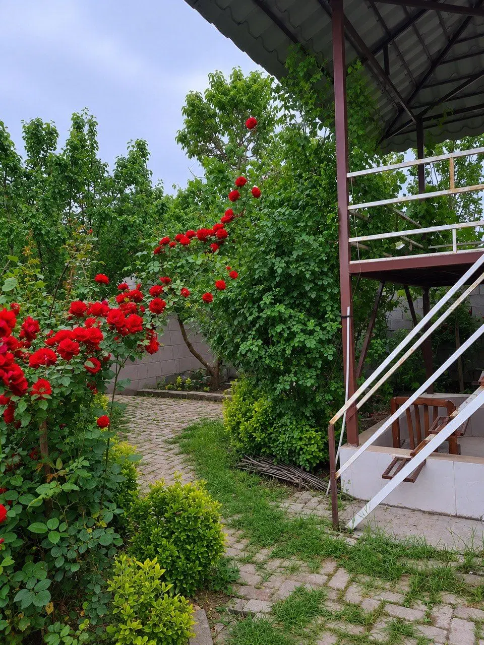 زمین باغی روستای شموشک گرگان