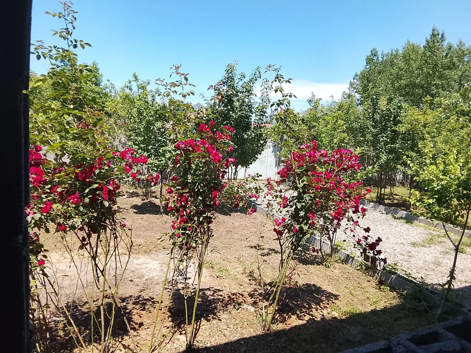 ویلای نیمه کاره در شهر زیبای صومعه سرا