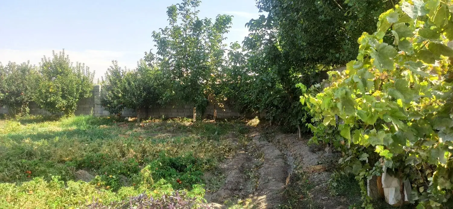 زمین مناسب سوله
