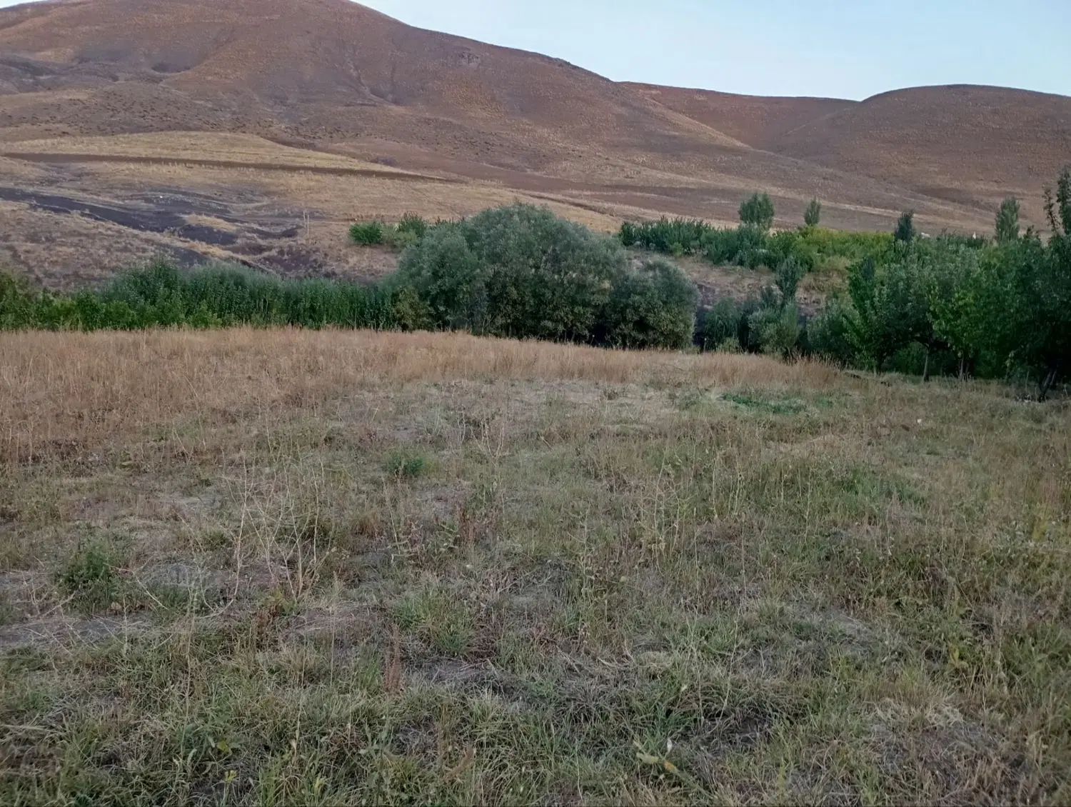 زمین کشاورزی