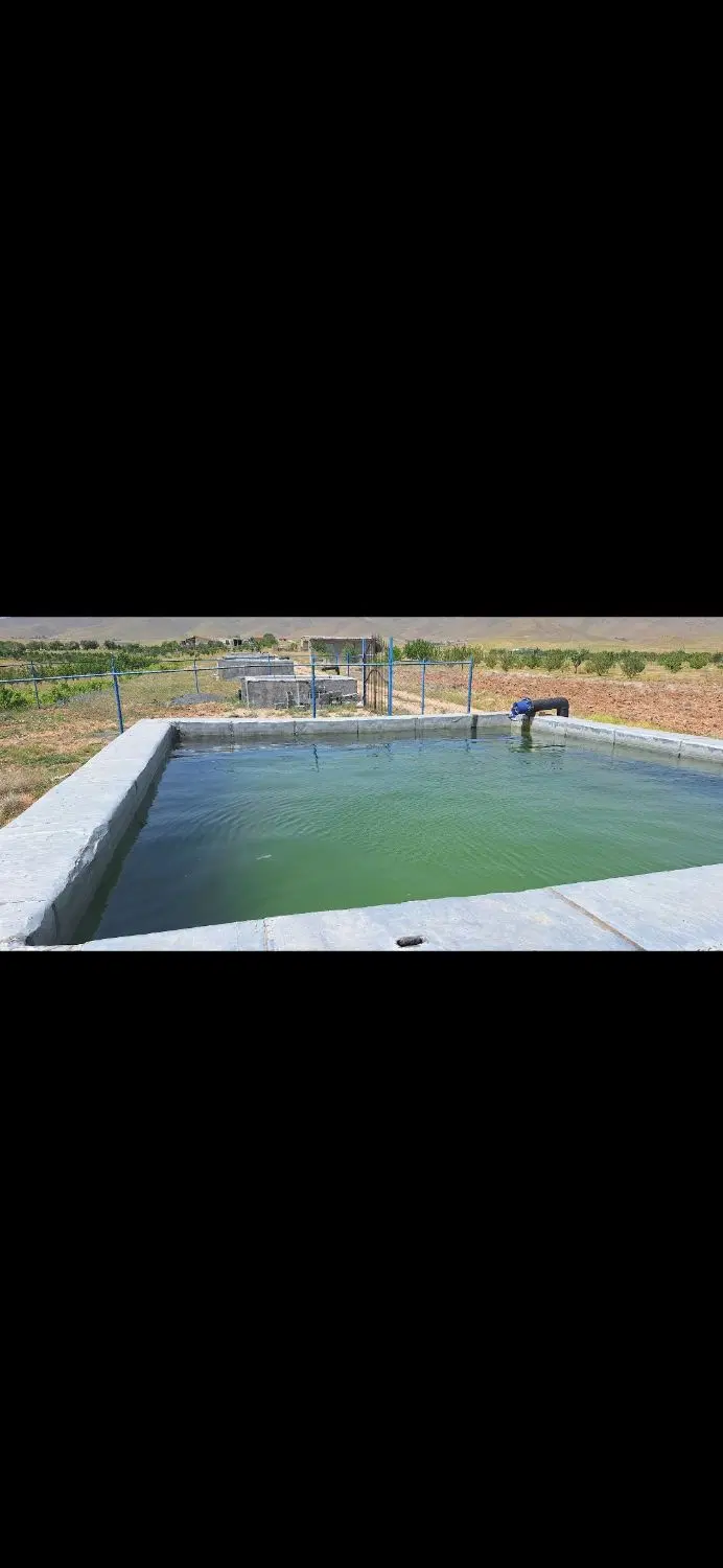 زمین باغی خوش قواره