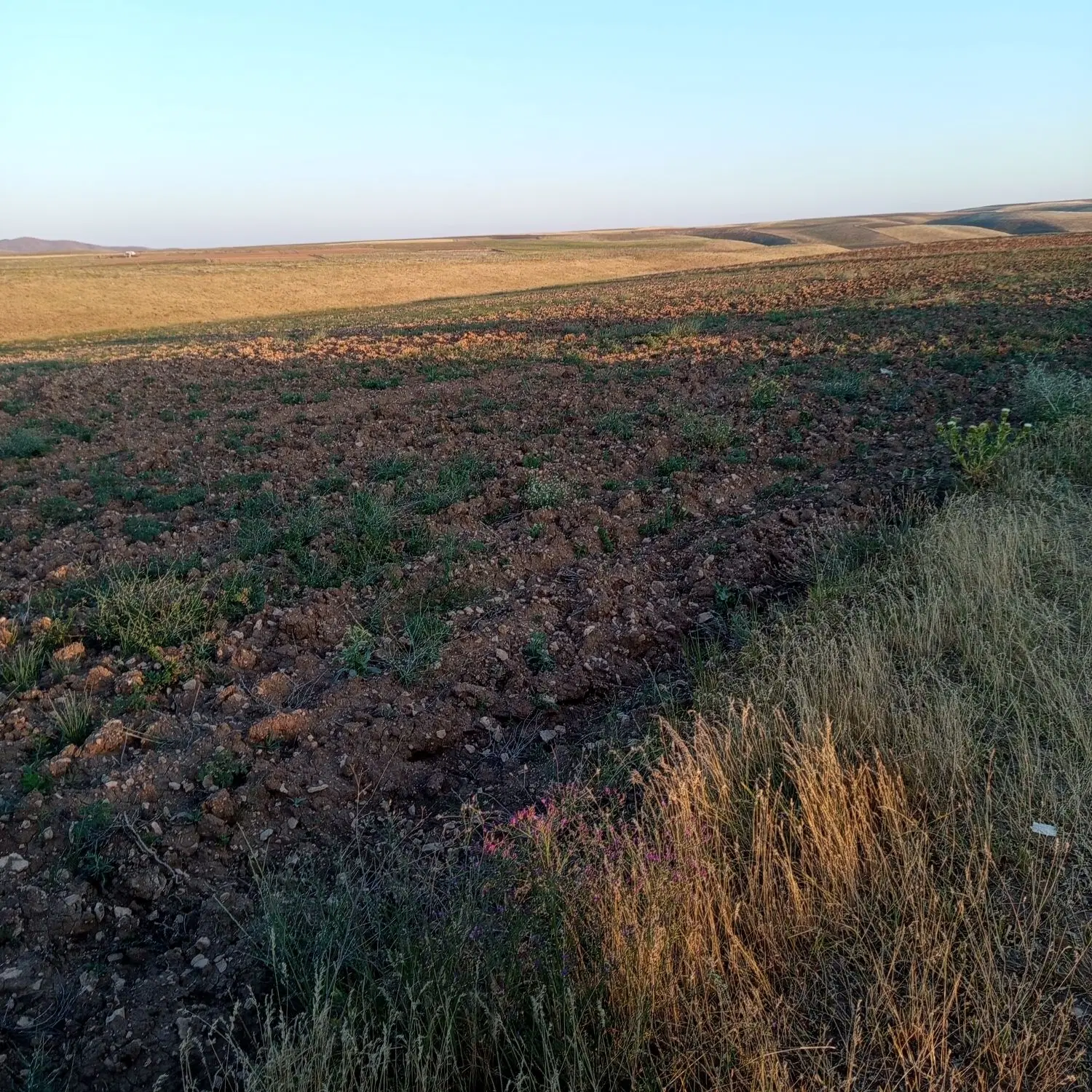 زمین در کهل