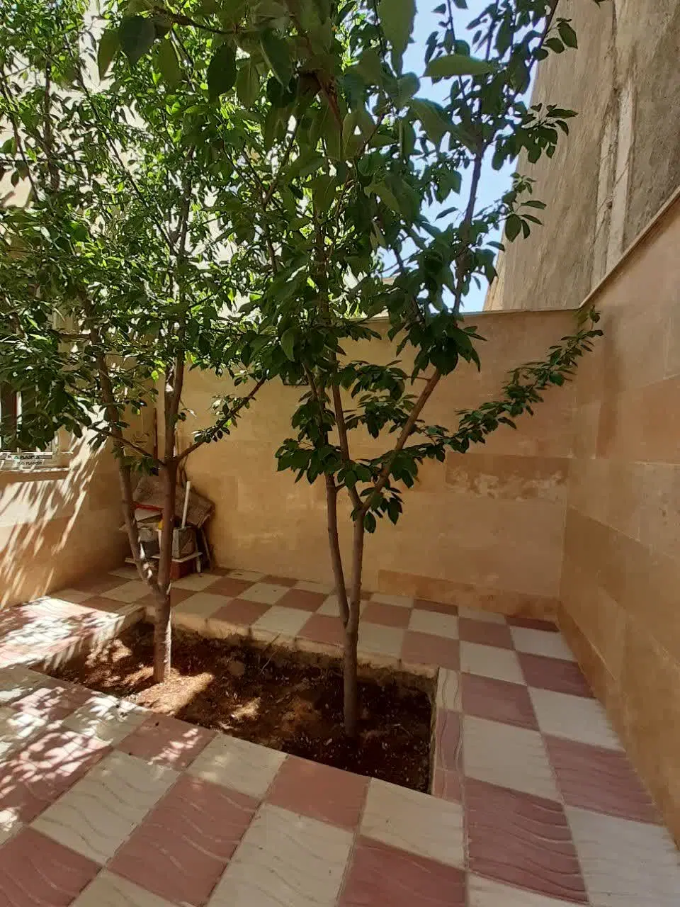 فتح یاران اندیشه ۳