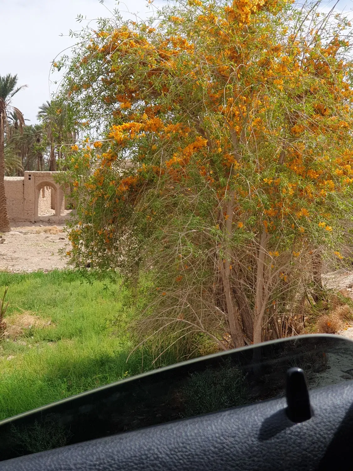 زمین جنوبی  بلوار دانشگاه روبروی بلوار جهاد