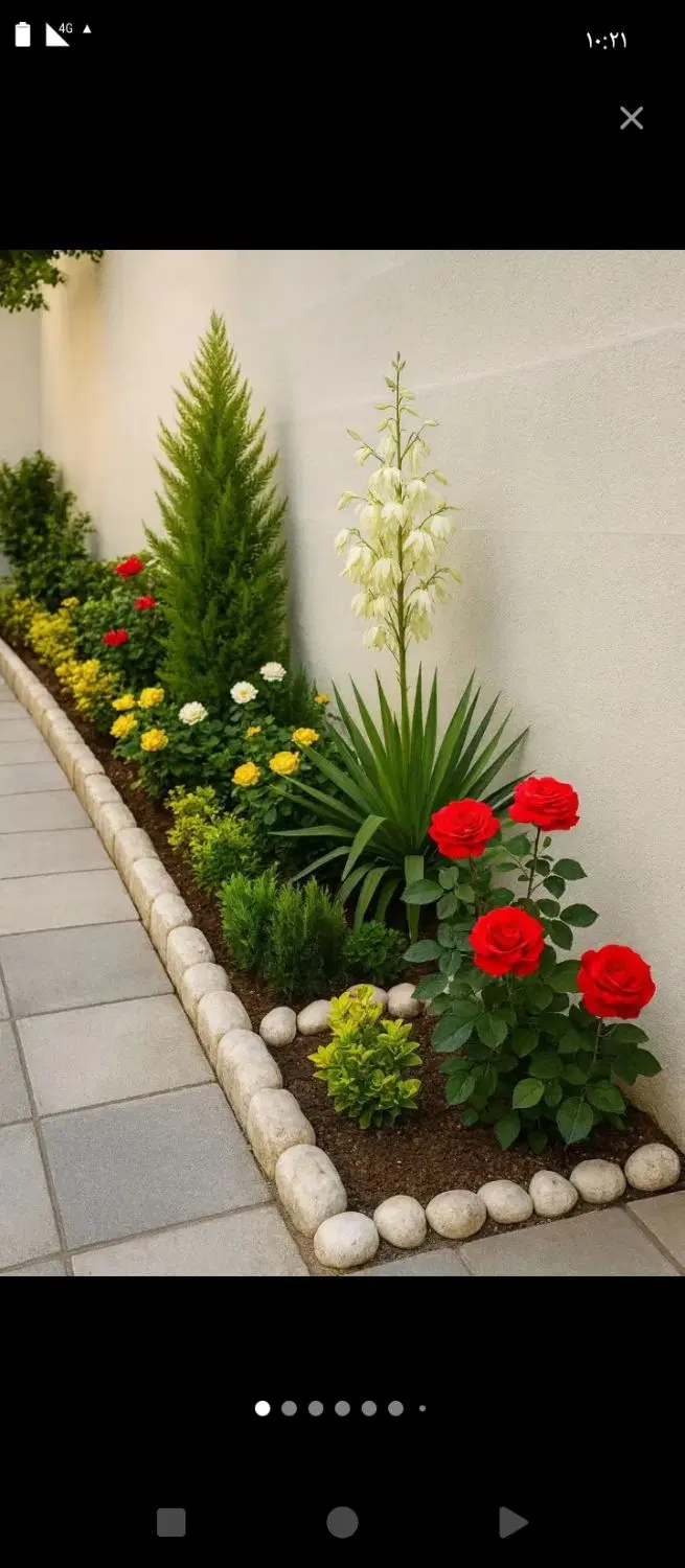 حسن اباد100ماهی 6