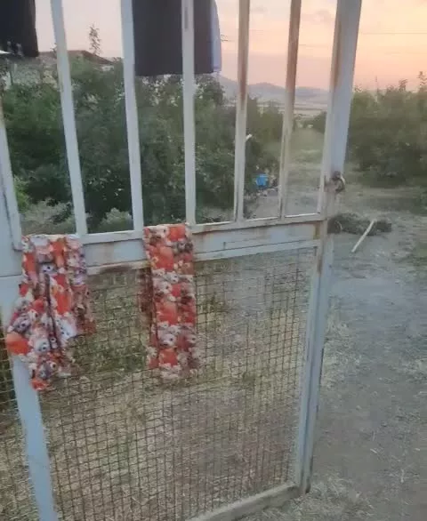 باغ 3000 متری