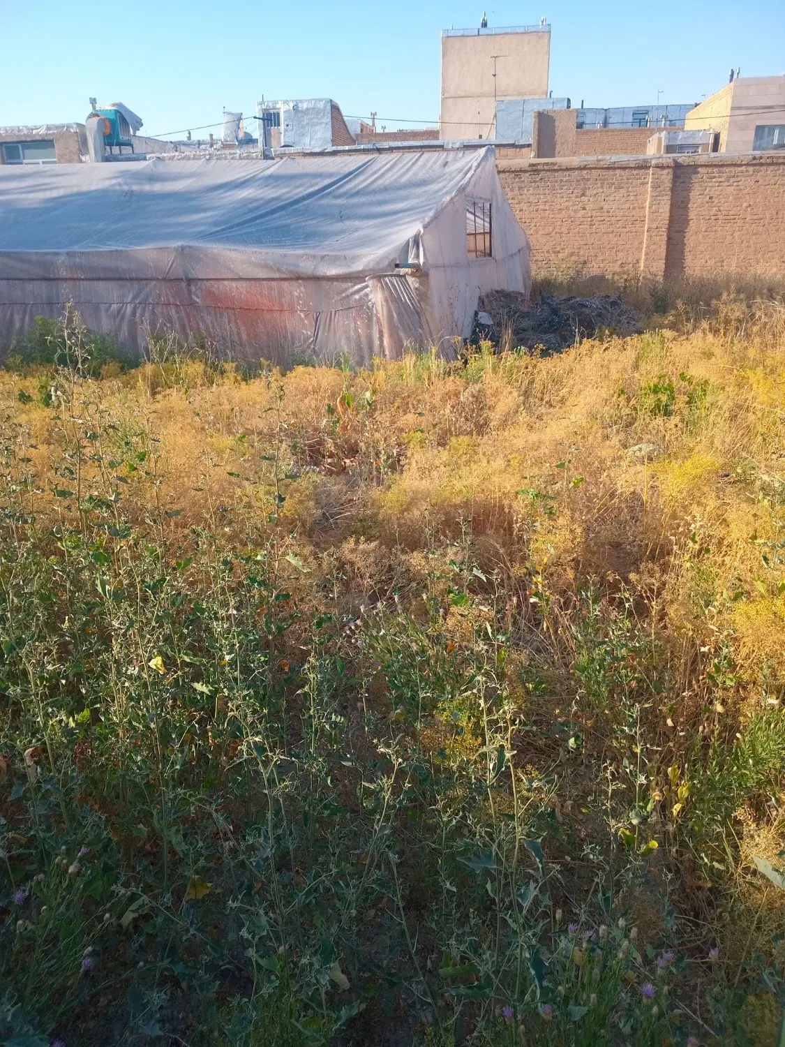 زمین مسکونی در حصار مطهری