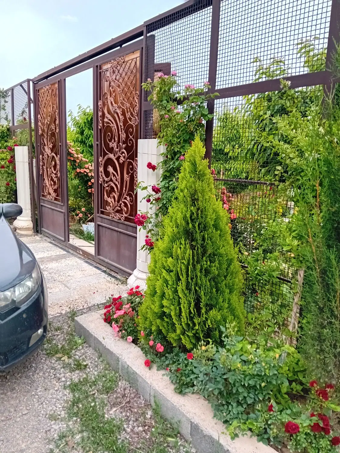 زمین باغی