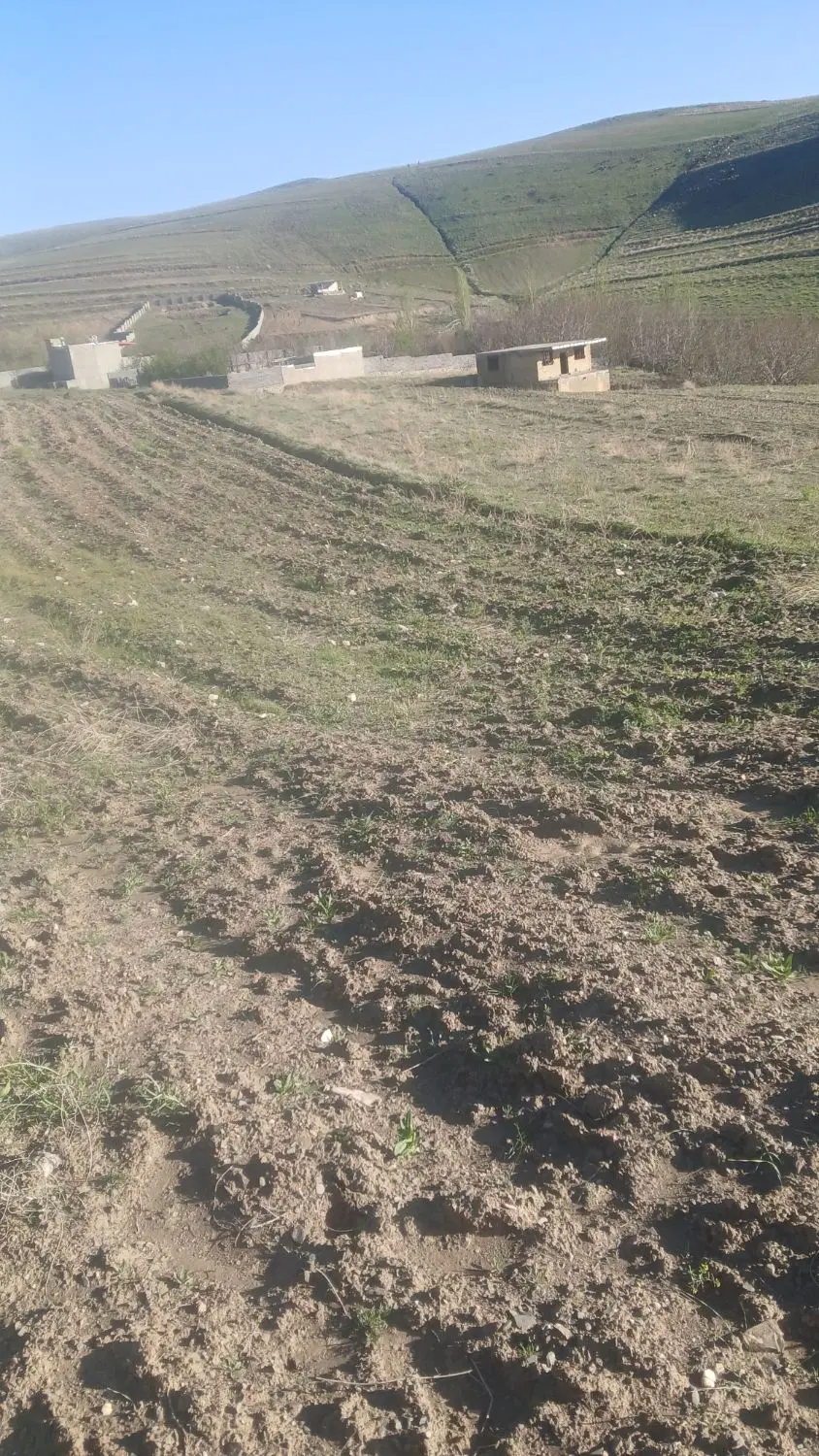 زمین باغی قشلاق