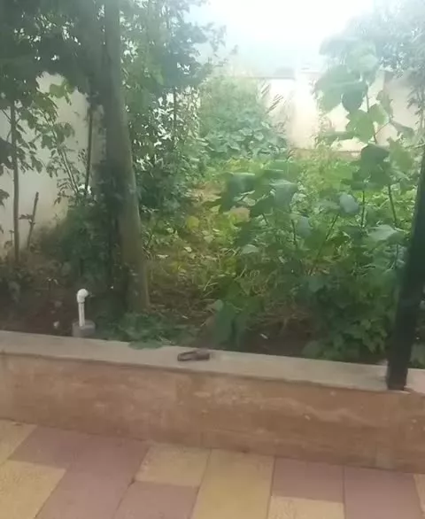 ویلا شیک وتمیز کلاردشت