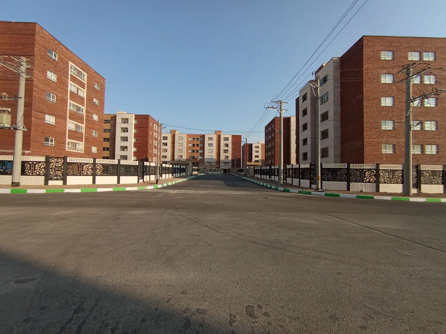 فروش زیتون ابوطالب