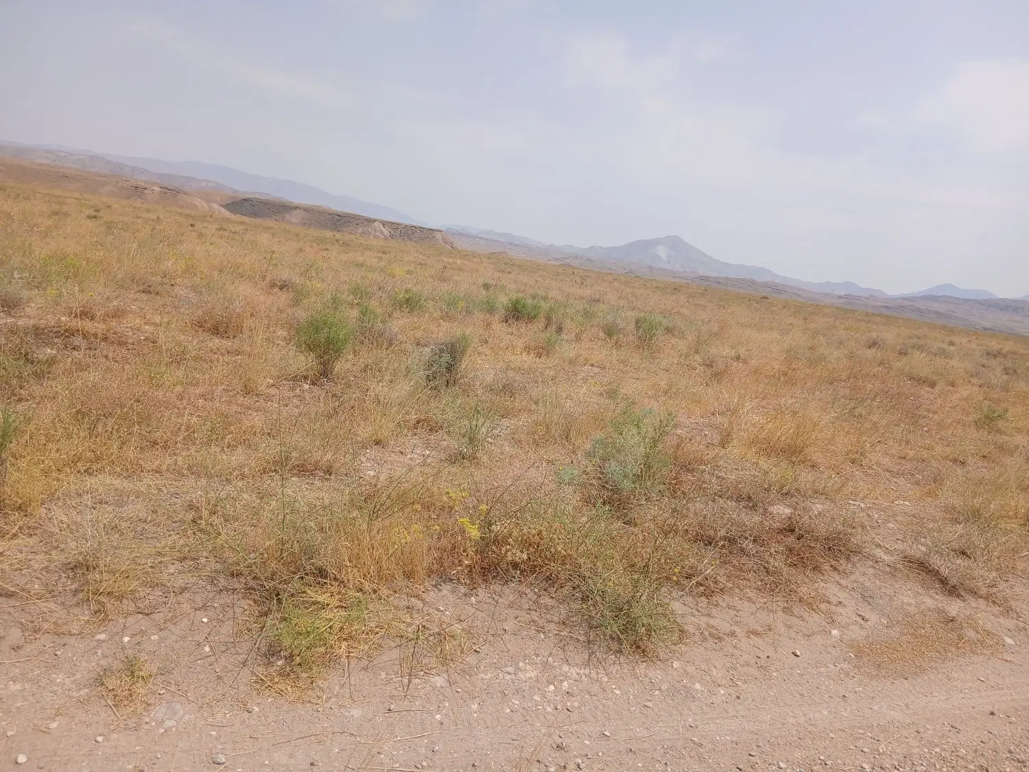 زمین در کهل