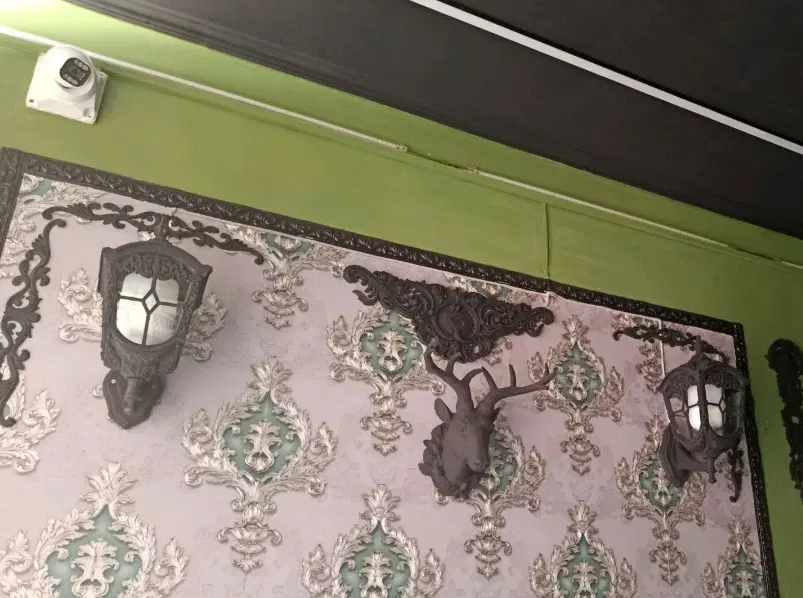 تجاری بر روی آزادگان