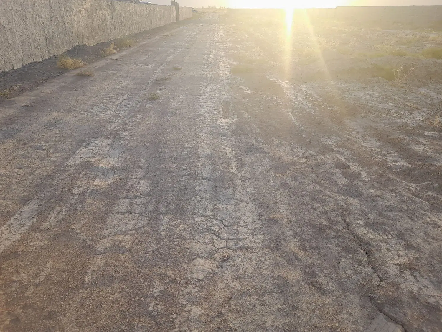 زمین باغی