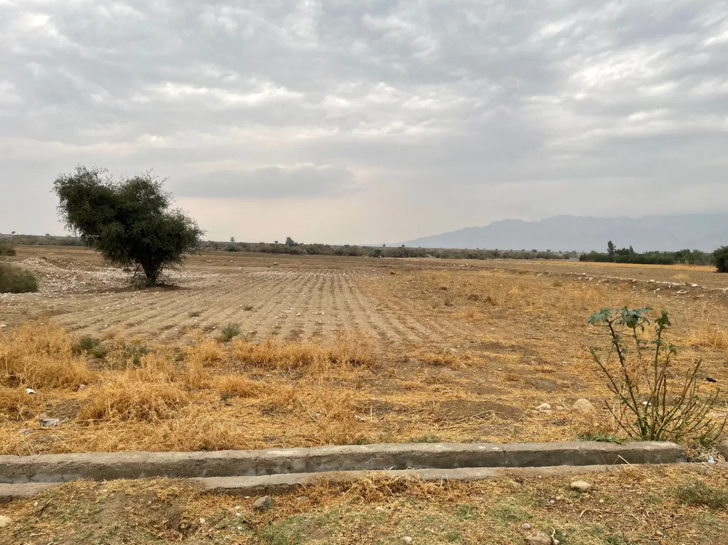 فروش زمین باغی