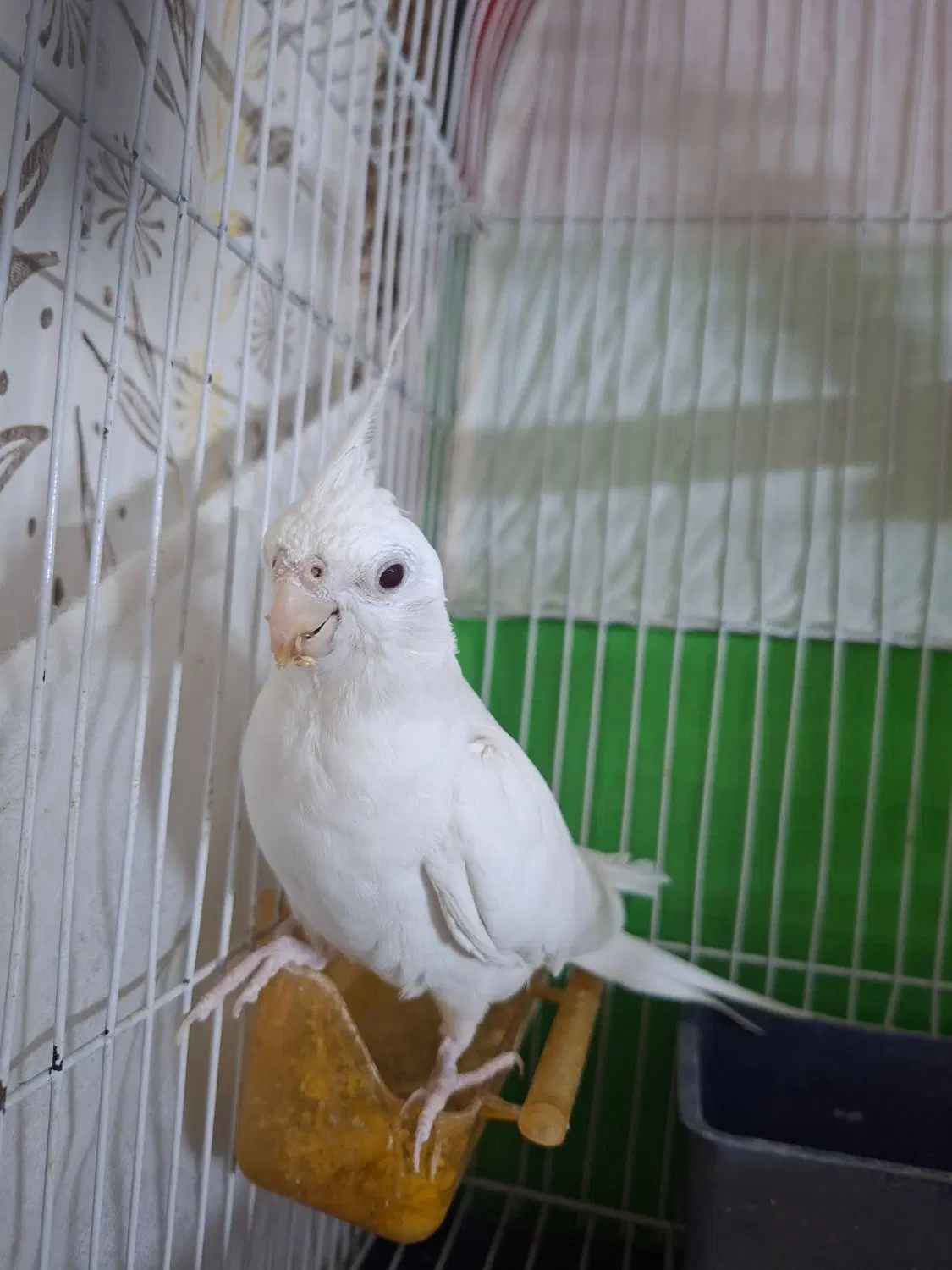 مغازه تجاری