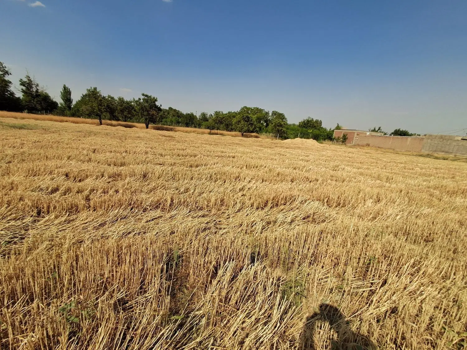 زمین 720 متری مسکونی و زارعی