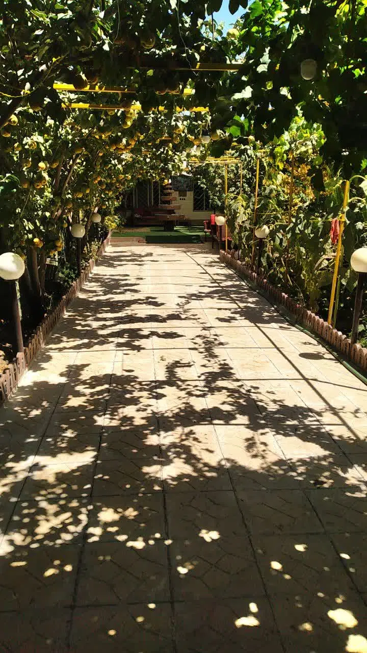 خریدباغ