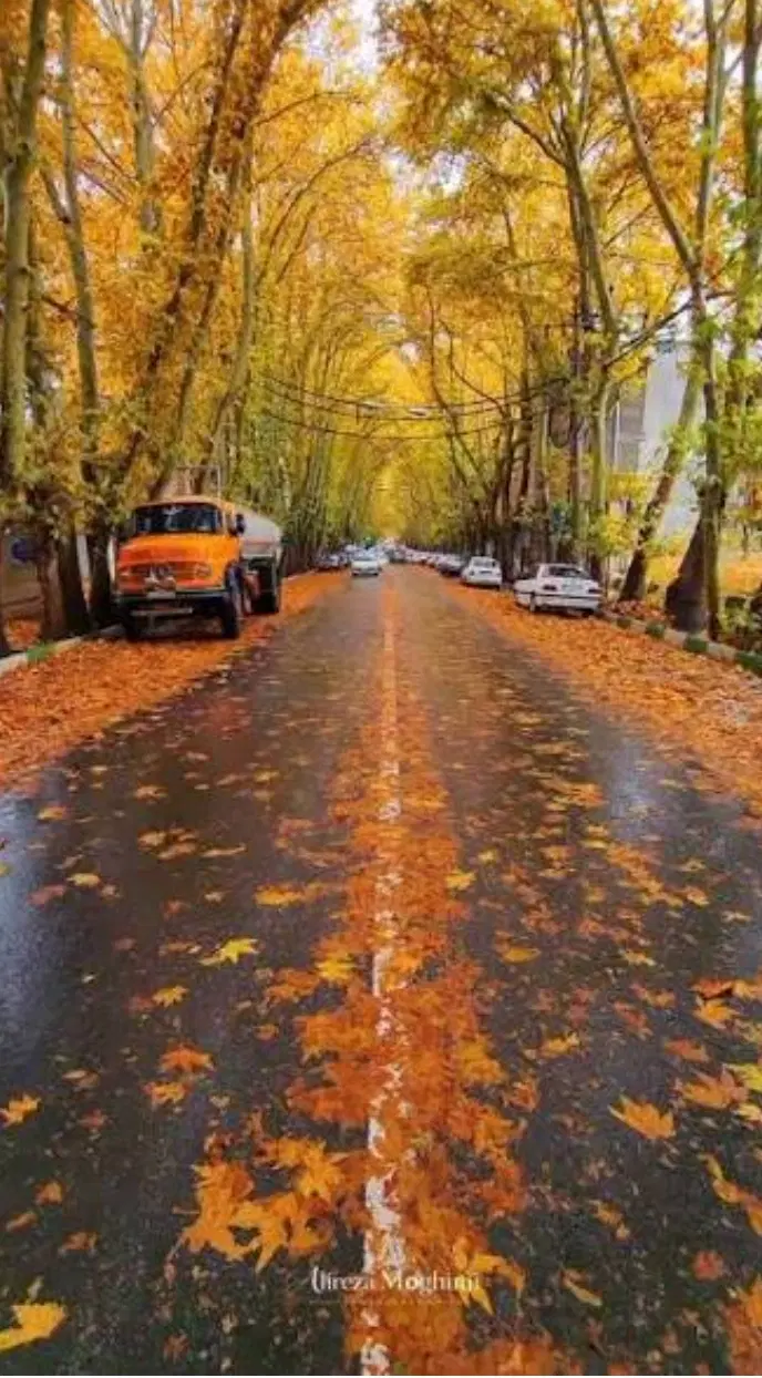 ملک زمینی تجاری مسکونی خیابان پاسداران