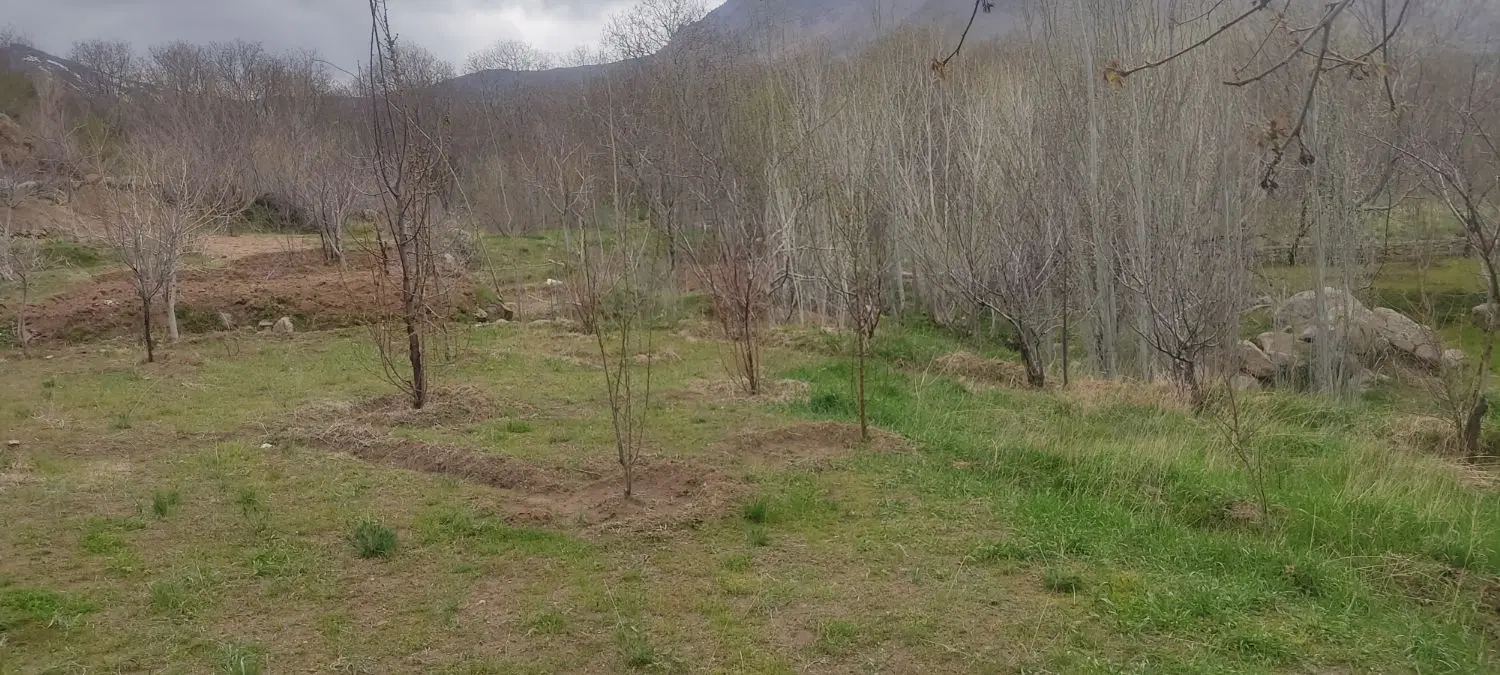 فروش زمین باغی