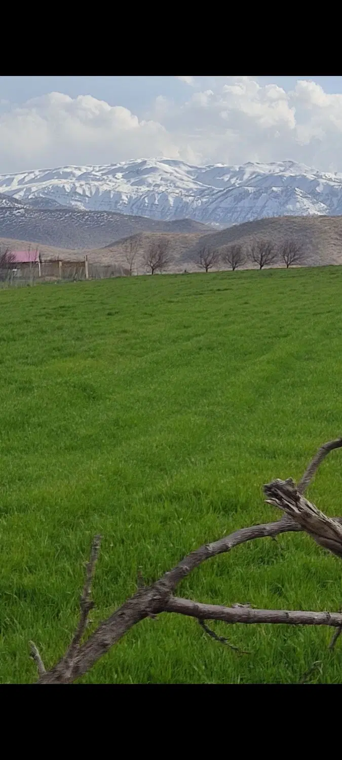 فروش زمین  مسکونی  ازنا سگوند روستای علی آباد