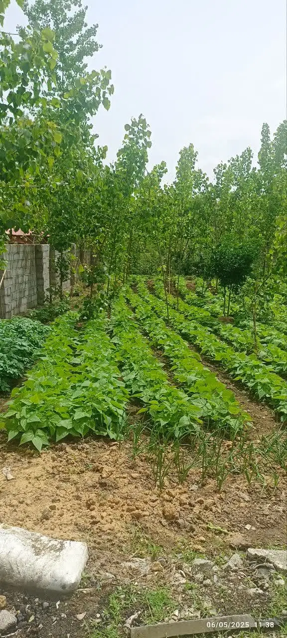 زمین روستایی
