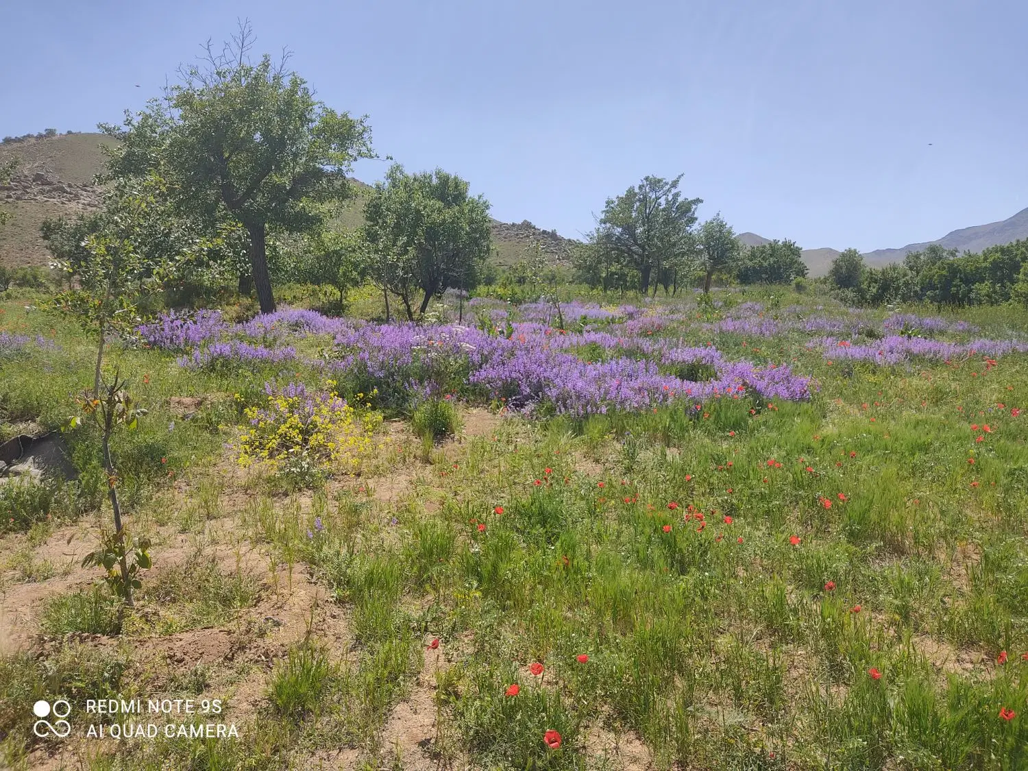 معاوضه زمین باغی  ویلای اراک با تهران