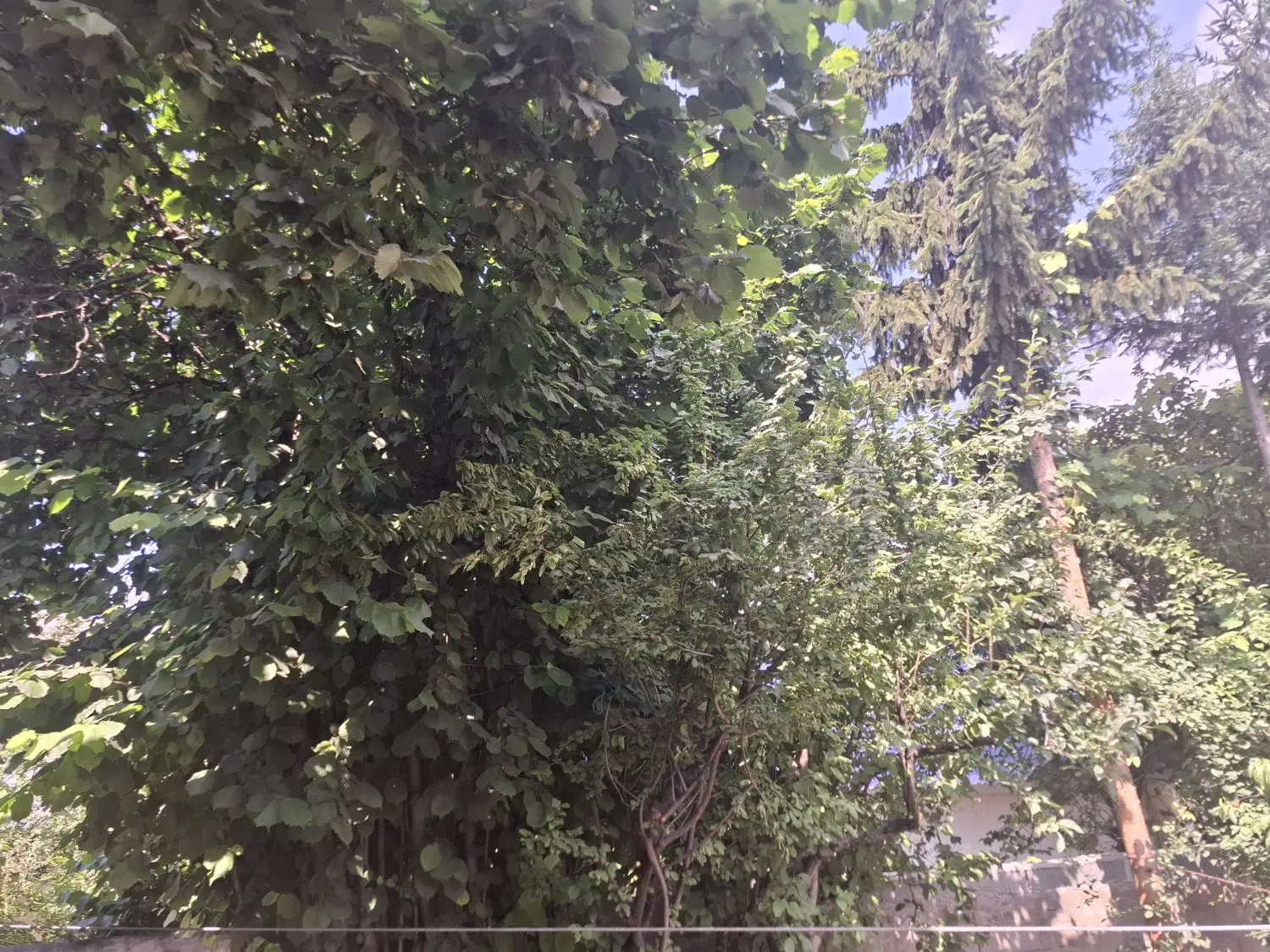 فروش زمین مسکونی