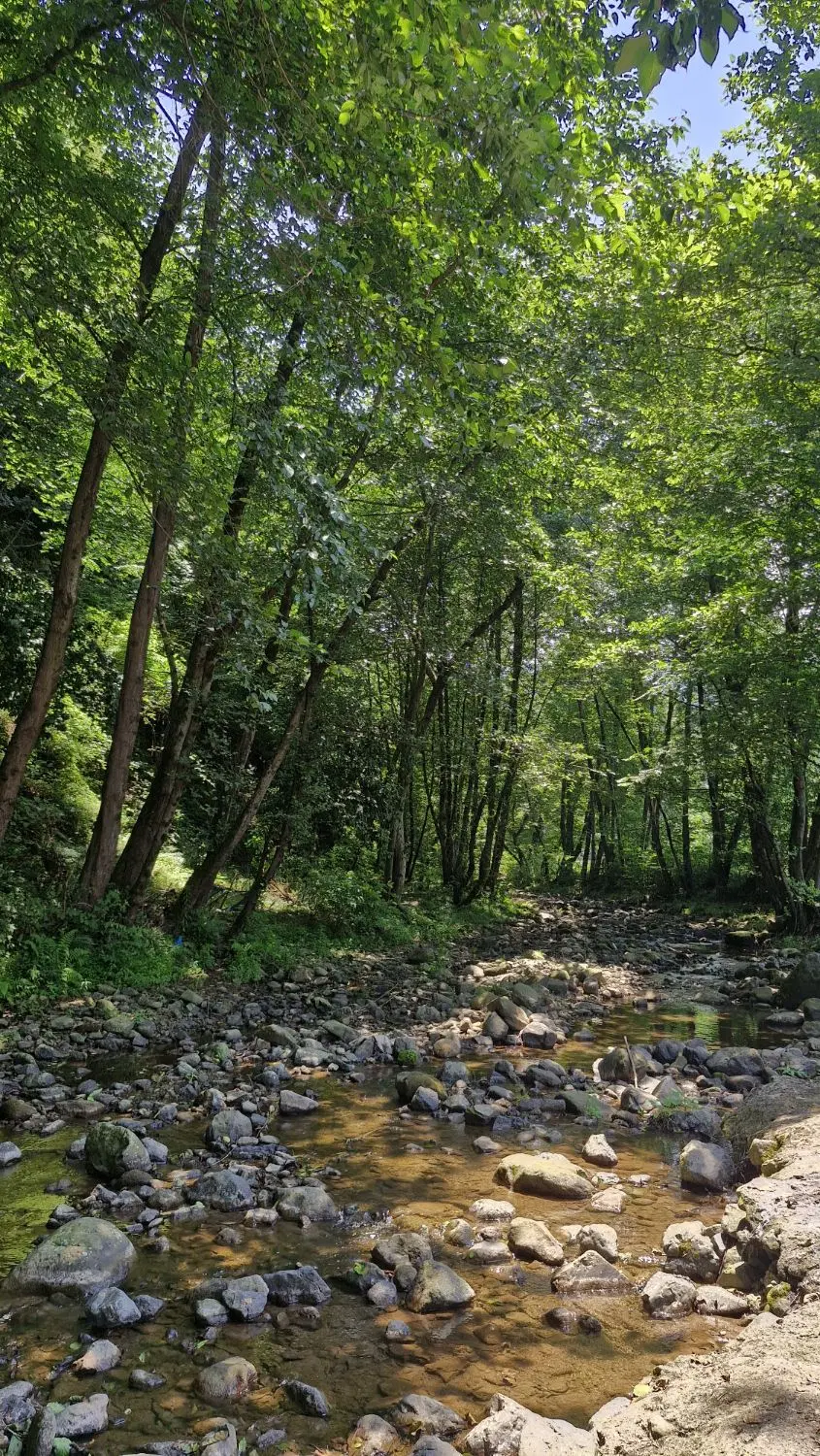 ۷۰۰متر خانه سنددار روستایی ،منطقه کوهستانی_لاهیجان