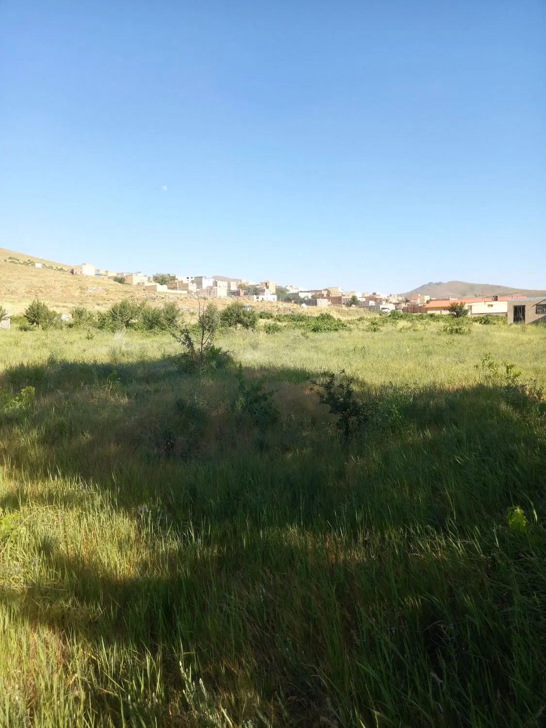 ارزانفود