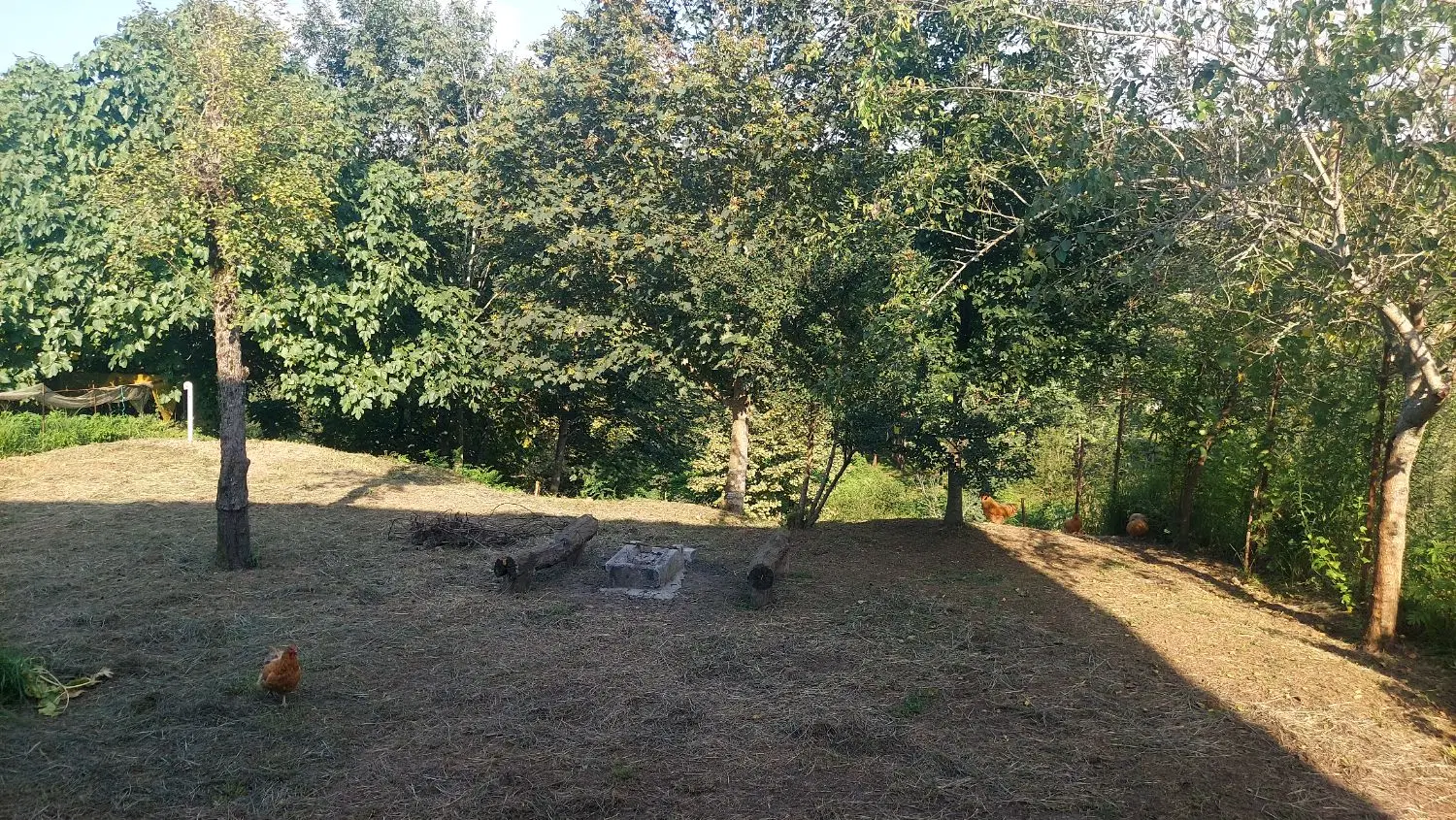 سوئیت خانوادگی