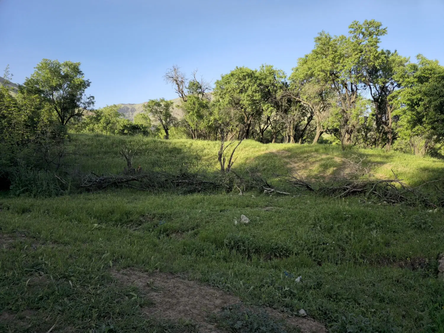 باغ روستای کندوله