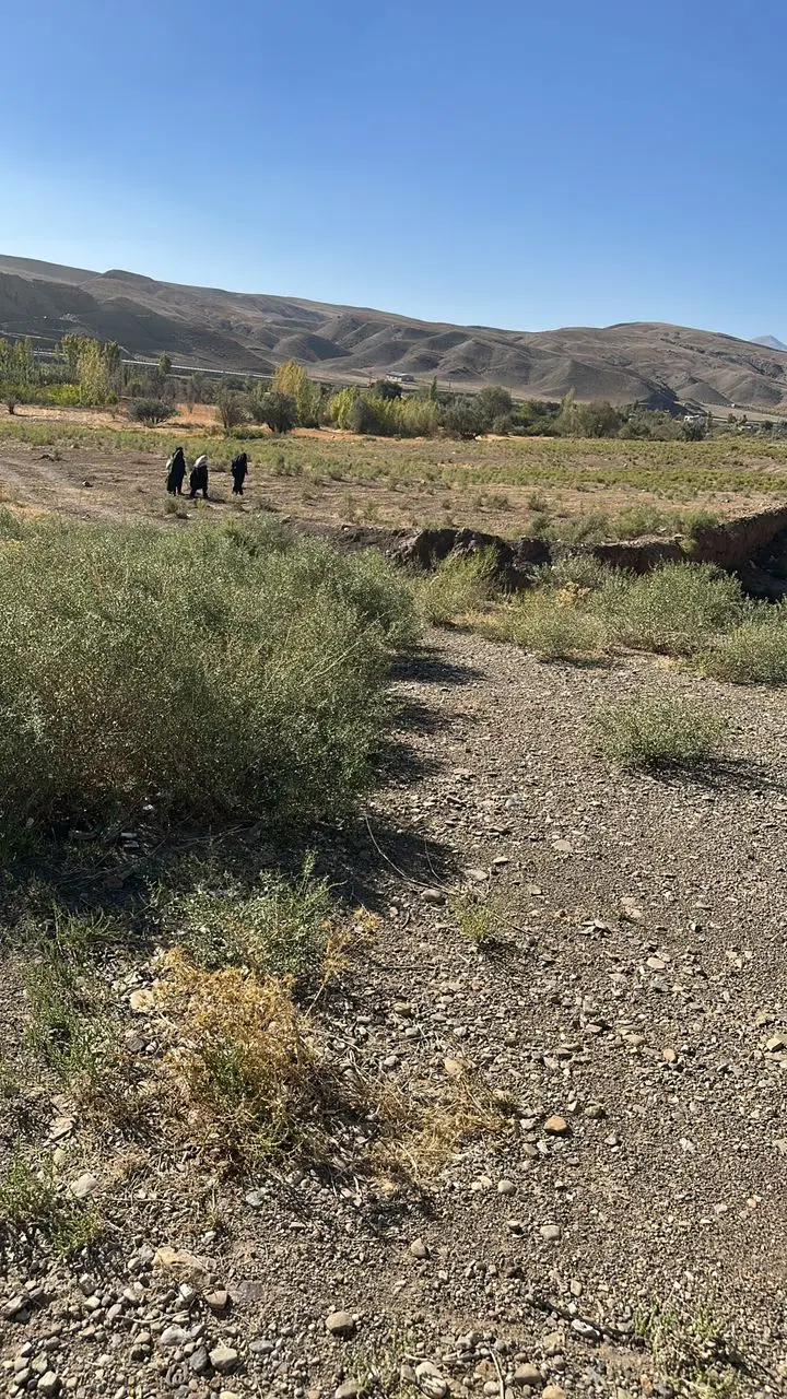 زمین زراعی باغی واقع در جاده ی خواجه ورزقان