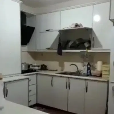 مجتمع میلاد