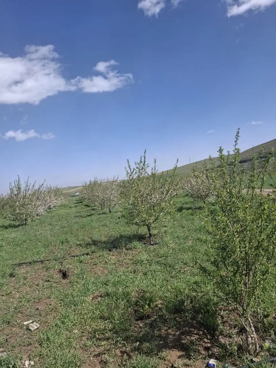 زمین زارعی مسکونی