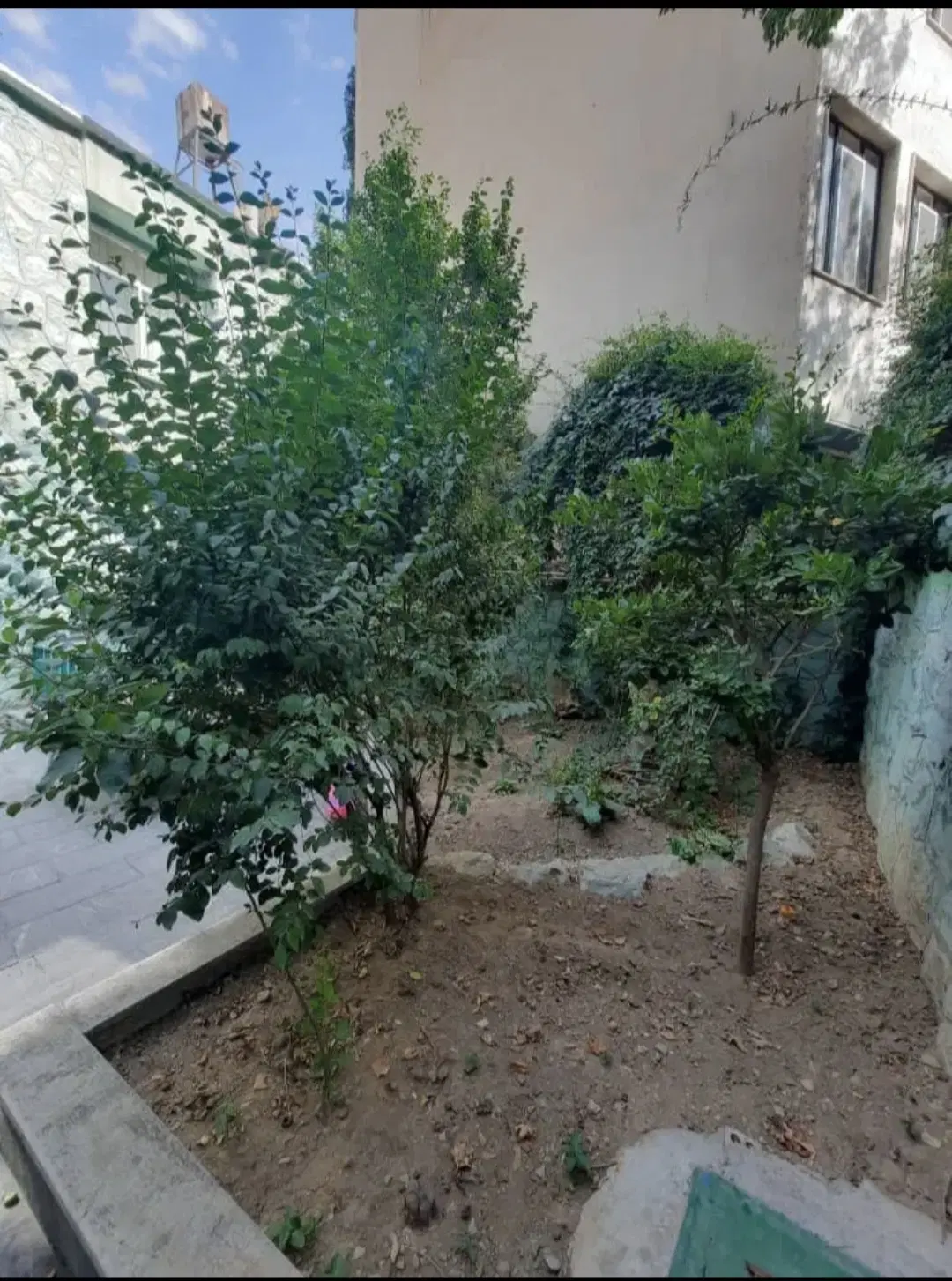 ۱۱۴ متر سهروردی عشقیار