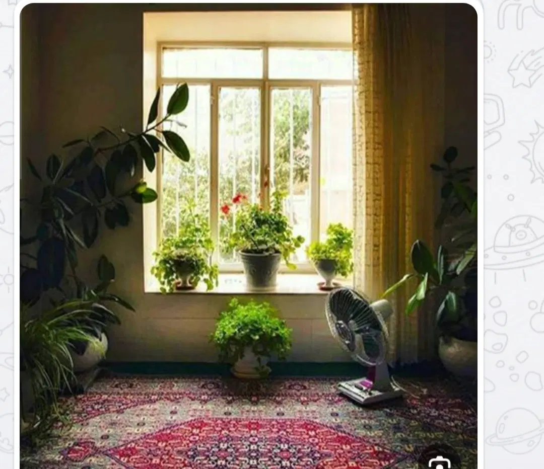 رهن و اجاره منزل  مستقل تندگویان کوچه ۹ شیراز