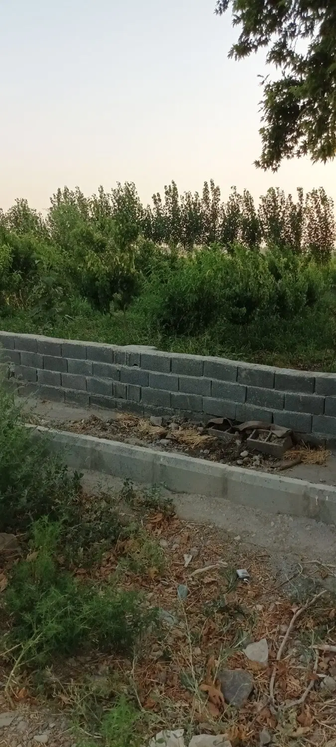 فروش یک قطعه زمین ۵۰۰ متری کاربری زراعی سند دار .