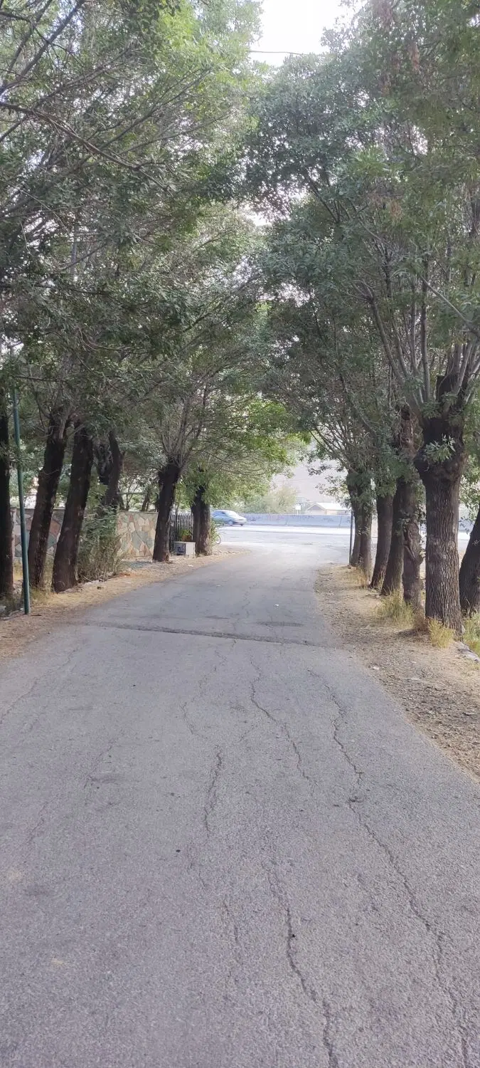 زمین باغی