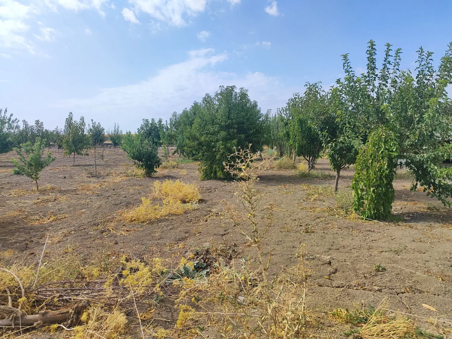 باغ با چاه عمیق جاده روانسر