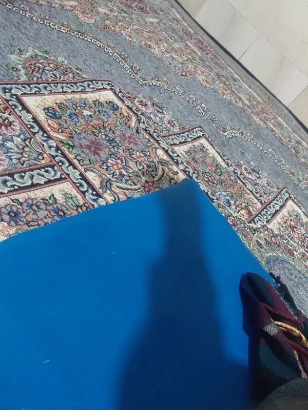 همخونه میشم