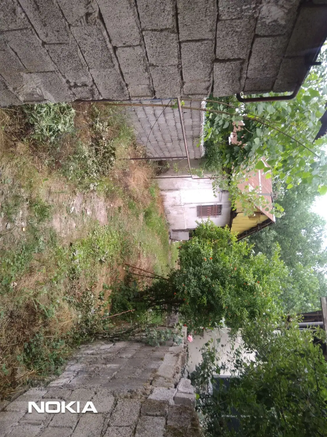 خانه به همراه حیاط