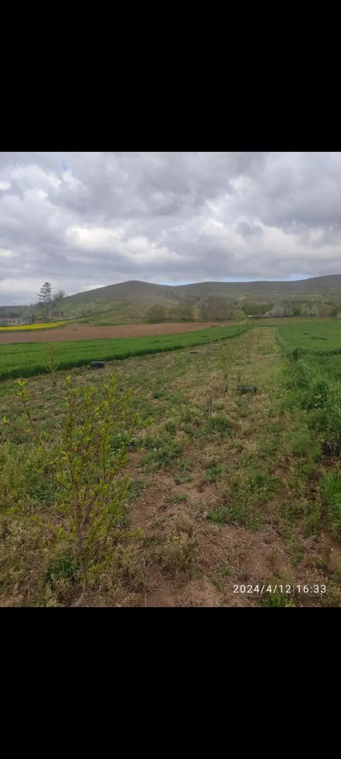 زمین کشاورزی