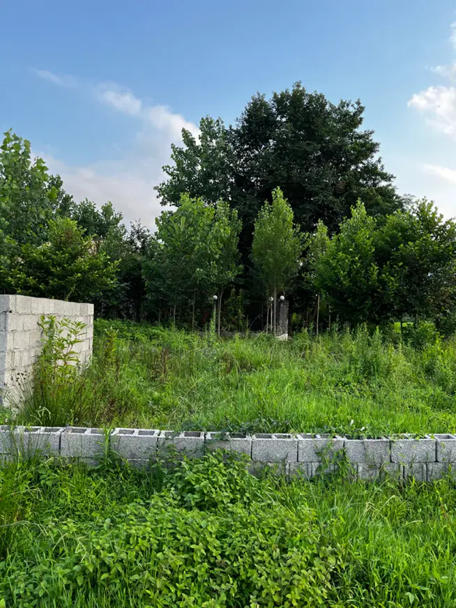 زمین قطعه بندی شده