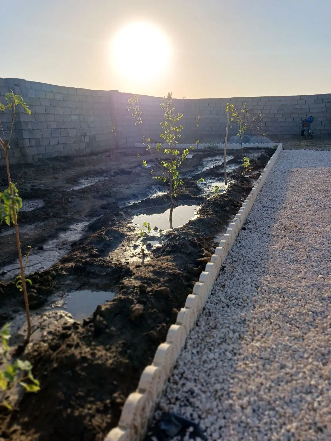 باغ چهار دیواری یکانه