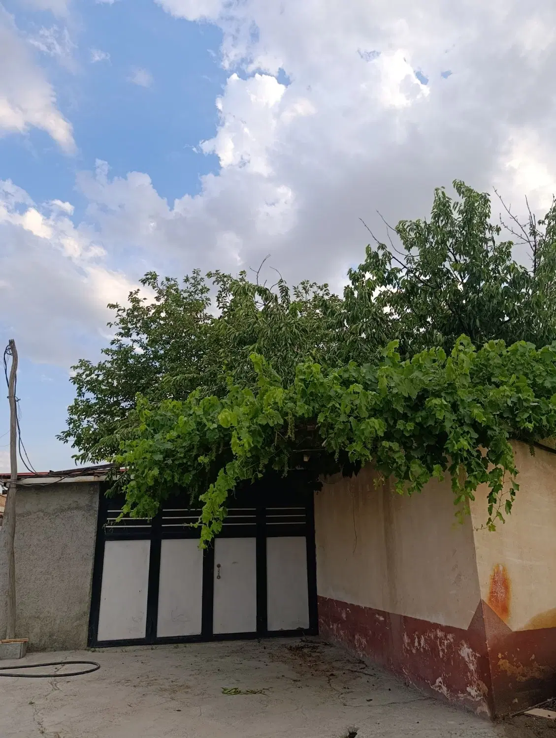 فروش ملک مسکونی وویلایی