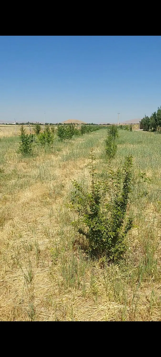 باغ با مجوز آب